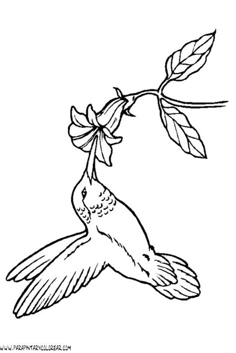 A Hummingbird Flying Away From A Branch With Leaves