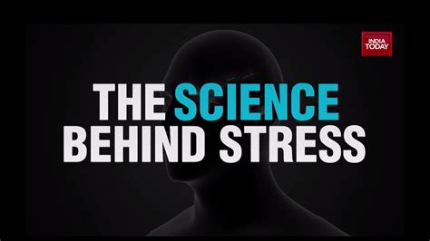Stress Becoming The New Epidemic For 21st Century Health 360 Youtube