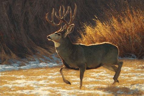 Mule Deer Buck Painting By Greg Beecham Deer Art Deer Painting