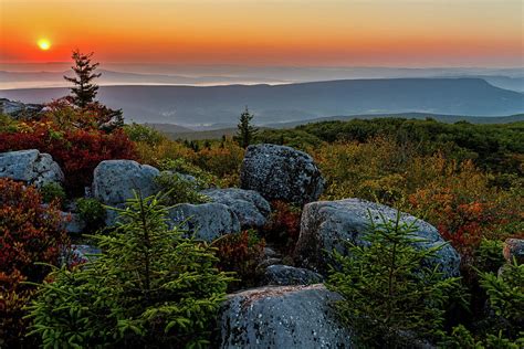 Autumn Sunrise In Dolly Sods Photograph By Lori Coleman Pixels