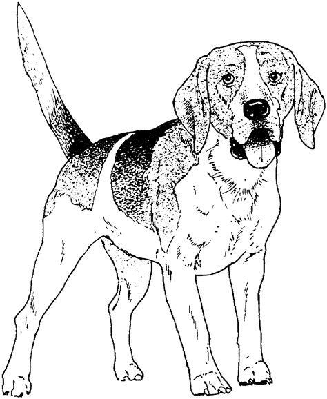 Dog Coloring Pages Printable At Free Printable