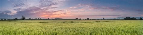 Hoteles en mendoza, aparts y cabañas. Mendoza - Wikitravel