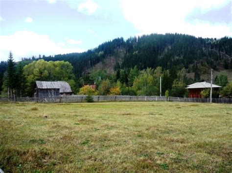 Teren De Vanzare In Bucovina Zona Munte Vatra Dornei Pret Preturi