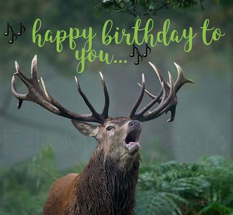 Happy Birthday Images With Deer💐 — Free Happy Bday Pictures And Photos