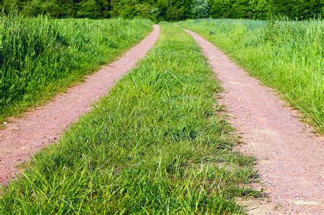 Dirt Road Stock Photo Image Of Country Footpath Cornfield 47969162