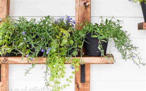Diy Vertical Herb Garden And Planter 2x4 Challenge
