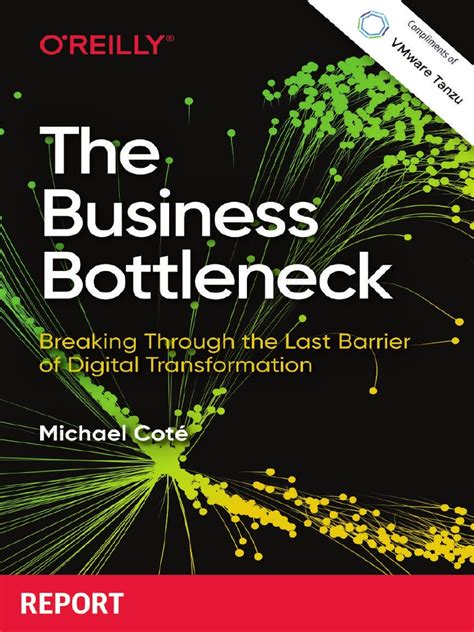 Business Bottlenecks Barriers Of Digital Transformation Pdf