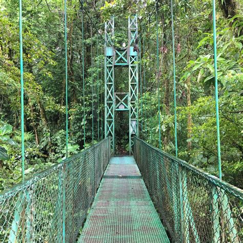 Suspension Bridge In The Rainforest At Selvatura Park Costa Rica