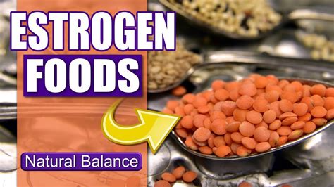 Phytoestrogen Rich Foods What Foods Increase Estrogen Youtube