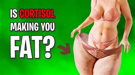 How Cortisol Leads To Stubborn Belly Fat Youtube
