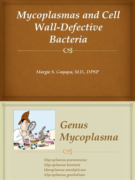 Mycoplasmas And Cell Wall Defective Bacteria Pdf Mycoplasma