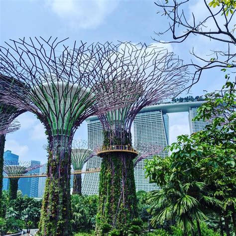 Singapore Botanical Garden Strolling Through Endless Beauty