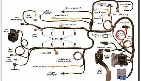 ls truck wiring harness