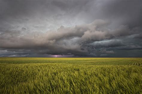 Thunderstorm Over Wheat Field Photograph By Douglas Berry Pixels