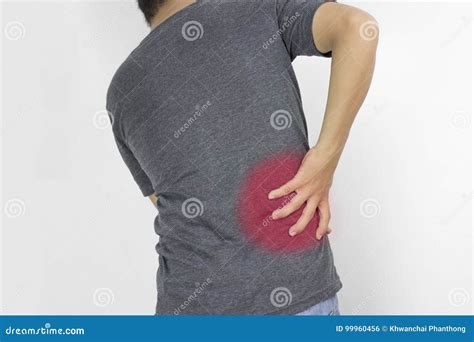 Man Guy Has Waist Pain In Gray Clothe Stock Photo Image Of Muscle