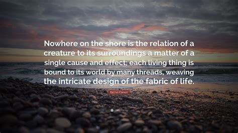 Browse +200.000 popular quotes by author, topic, profession, birthday, and more. Rachel Carson Quote: "Nowhere on the shore is the relation of a creature to its surroundings a ...