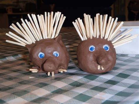 Awt Wild Schools Blog Make Your Own Hedgehog