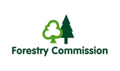 Forestry Commission Wants Your Views On Friston Forest Singletrack Magazine