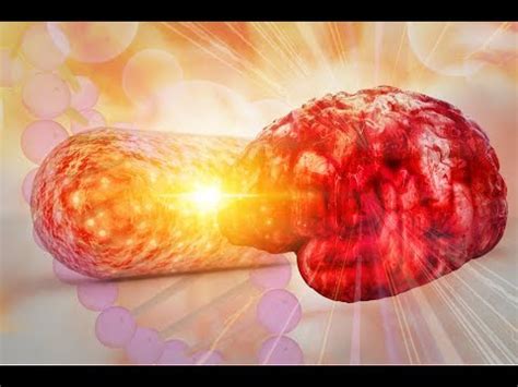 Leaky Gut Syndrome Diet Mayo Clinic - Healing Leaky Gut Syndrome