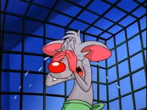 Maurice lamarche, rob paulsen, tress macneille more info: Pinky And The Brain - "Of Mouse And Man" Clip - YouTube