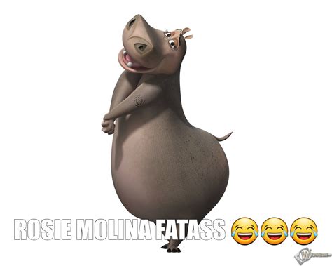Create Meme Hippo Gloria The Hippo From The Movie Madagascar Gloria From The Movie Madagascar