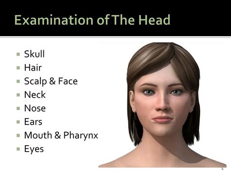Ppt Physical Assessment Head Neck And Skin Powerpoint Presentation
