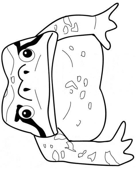 Printable toad coloring pages for kids. Toad coloring page - Animals Town - Free Toad color sheet