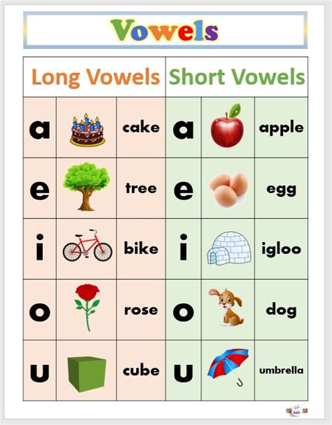 Laminated Chart Vowels Educational Chart For Kids Size 85 X 11