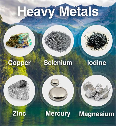 Complete Toxic Heavy Metals Test 30 Minute Health Coaching Call