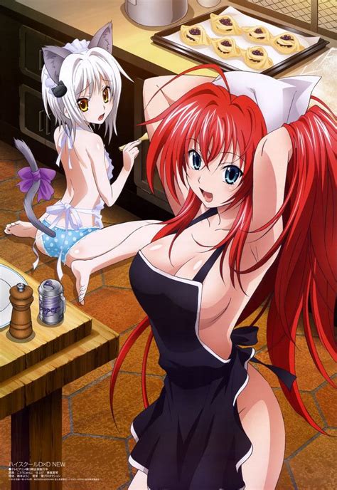 Pin On High School Dxd