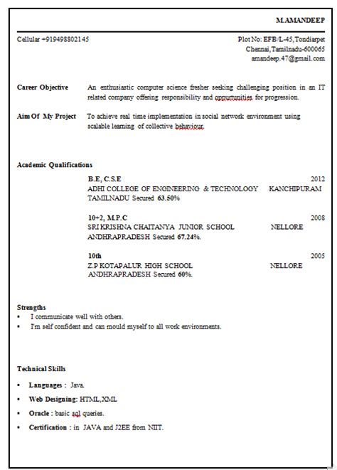 Resume format for software developer. Resume bsc chemistry fresher - proofreadingwebsite.web.fc2.com