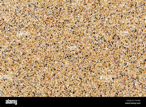 Close Up Of Sandy Sand Beach Grainy Natural Coarse Texture Of Shells