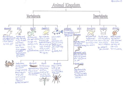 Classification Of Animals Vertebrates And Invertebrates | Teaching