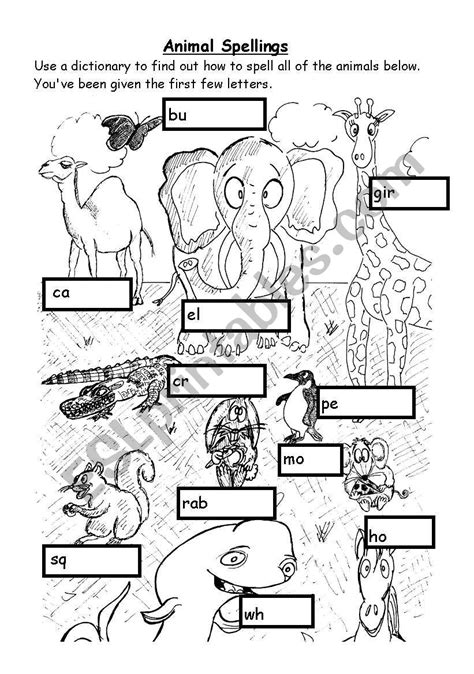 Animal Spellings Esl Worksheet By Gracie3210