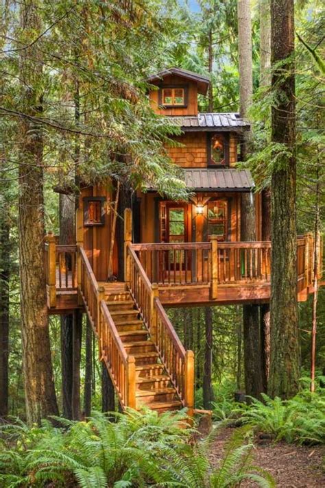 This Gorgeous Tree House Is Our Dream Bunkie Tree House Designs Luxury Tree Houses Tree