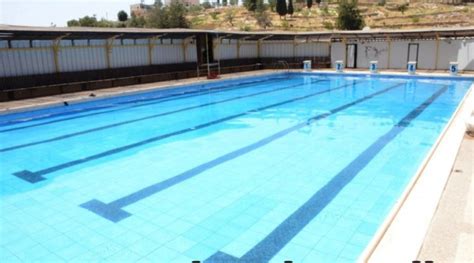 My yard presented a challenge that i don't think anyone ever imagined and needed to be hand dug. The Olympic-sized swimming pools in the West Bank that ...