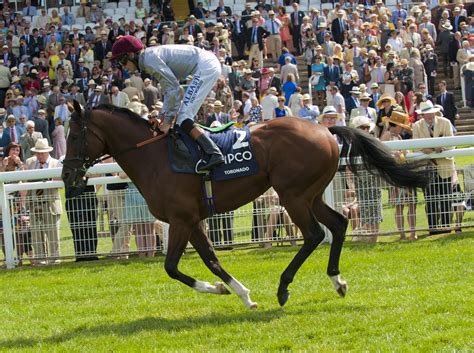 These are among the stories i'll be talking about during today's show Glorious Goodwood 30th July 2014 | Horses, Goodwood, Animals