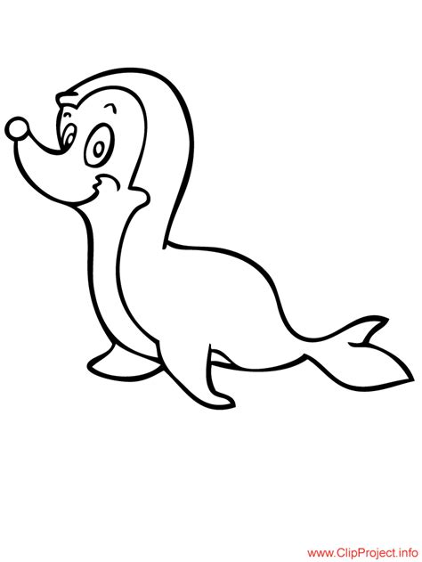 Baby seal is confuse coloring page to color, print and download for free along with bunch of favorite seal coloring page for kids. Baby Seal Coloring Pages - Coloring Home