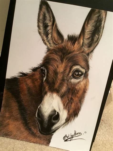 Donkey A4 Pencil Sketch Original For Sale £125 Plus Pp Animal Stencil