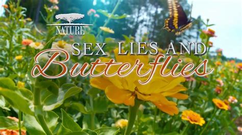 Sex Lies And Butterflies 2018