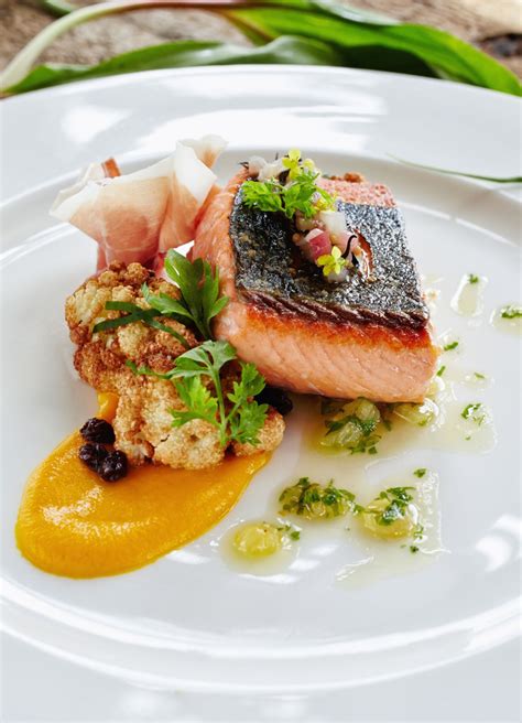 Healthy Salmon Dishes Recipes Bro