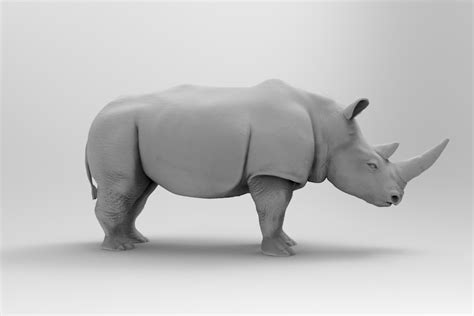 Artstation Rhinoceros Resources