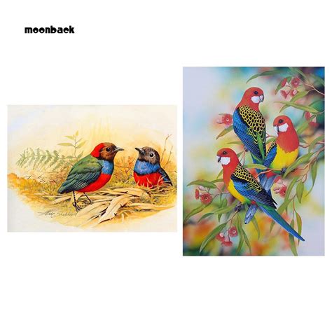 13+ Gambar Burung Warna Warni