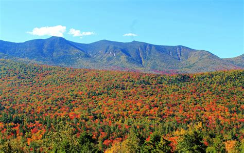 Foliage White Mountains New Hampshire