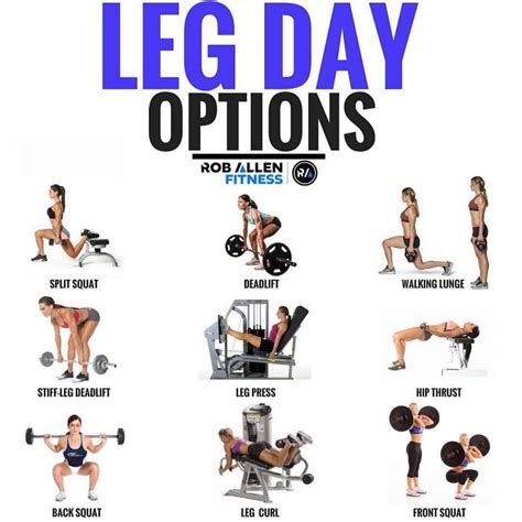 An Image Of A Woman Doing The Leg Day Options For Her Gym Routine With Dumbbells