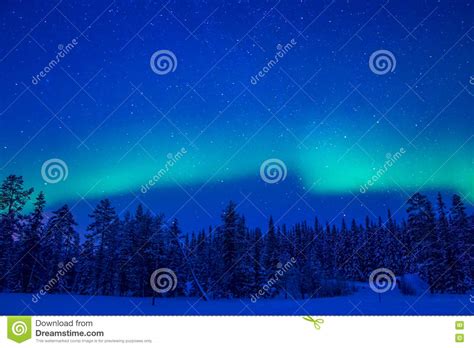 Northern Lights Over The Winter Forest Stock Photo Image Of Borealis