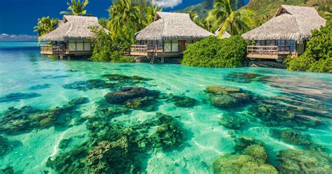 Summer Paradise 4k Ultra Hd Wallpaper Tropical Resort