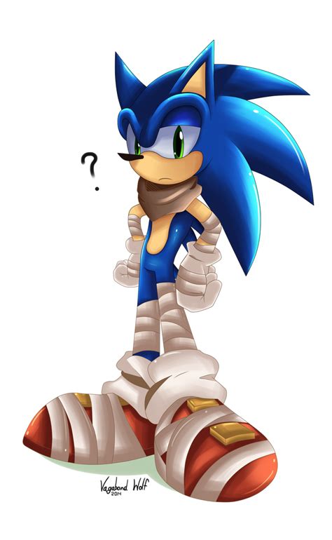 Sonic Boom By Vagabondwolves On Deviantart