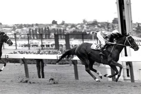 The Centenary Of The Ws Cox Plate In Pictures The Courier Mail