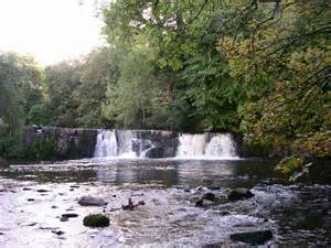 Waterfall In Linn Park © Alec Mackinnon Geograph Britain And Ireland